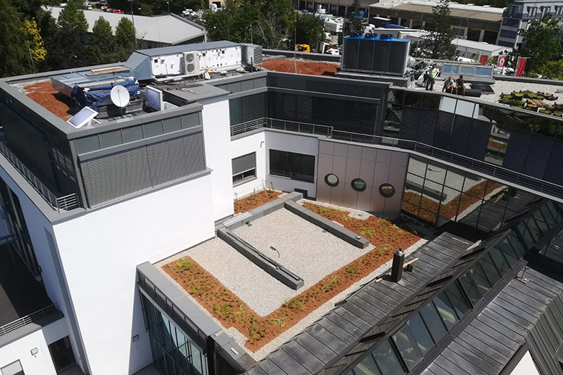 Dachbegrünung von Jung Garten- & Landschaftsbau