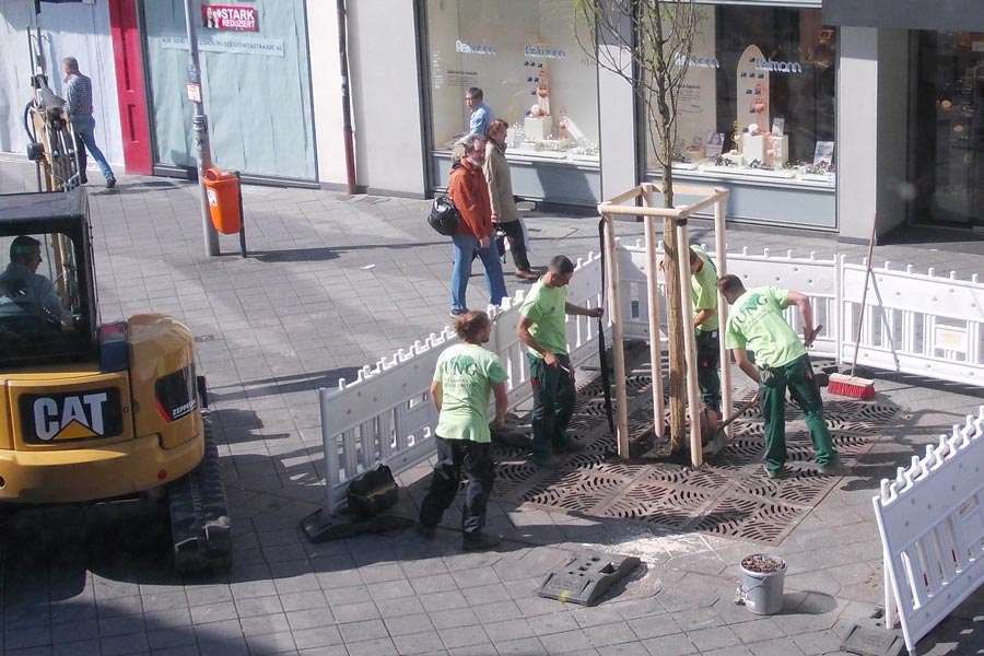 Pflanzungen an öffentlichen Plätzen
