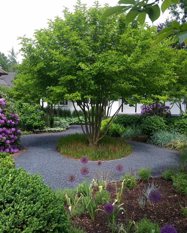 Pflanzarbeiten von Jürgen Jung Garten- & Landschaftsbau