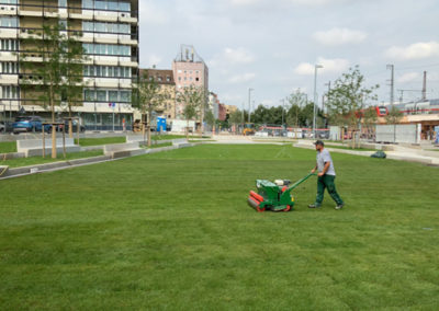Pflege des Nelson Mandela Platzes von Jung Garten- und Landschaftsbau
