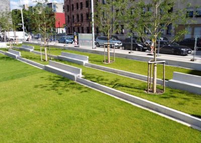 Grünfläche in Nürnberg