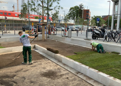 Jung Garten- und Landschaftsbau