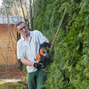 Heckenschneiden mit Jung