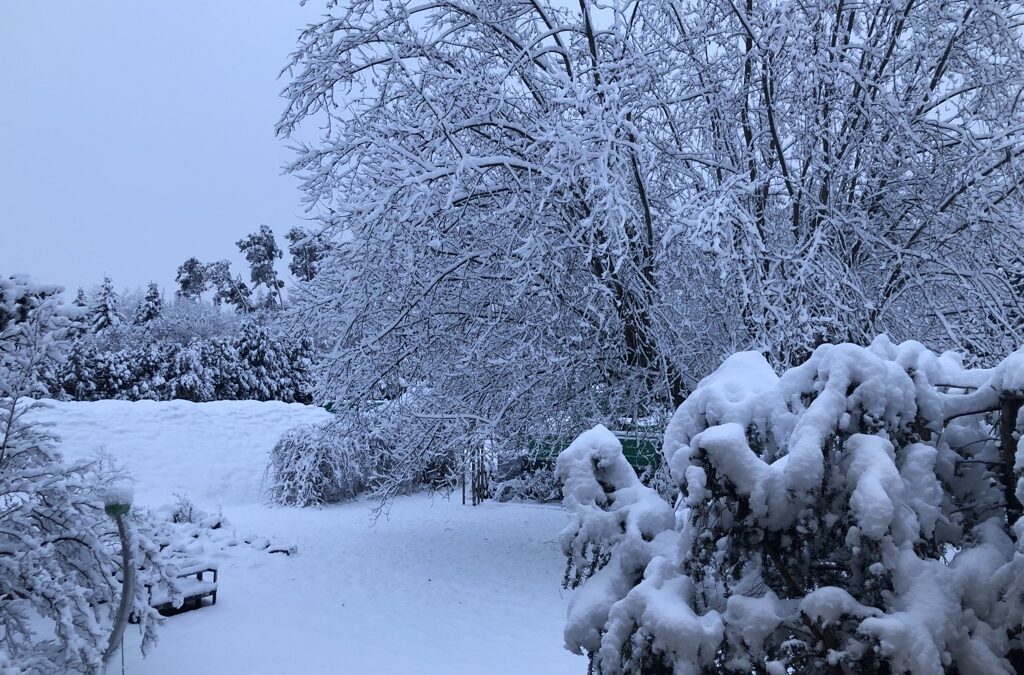 Winter hat uns fest im Griff!