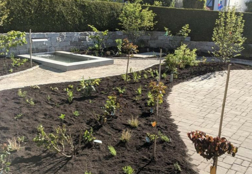 2. Azubi-Blogbeitrag