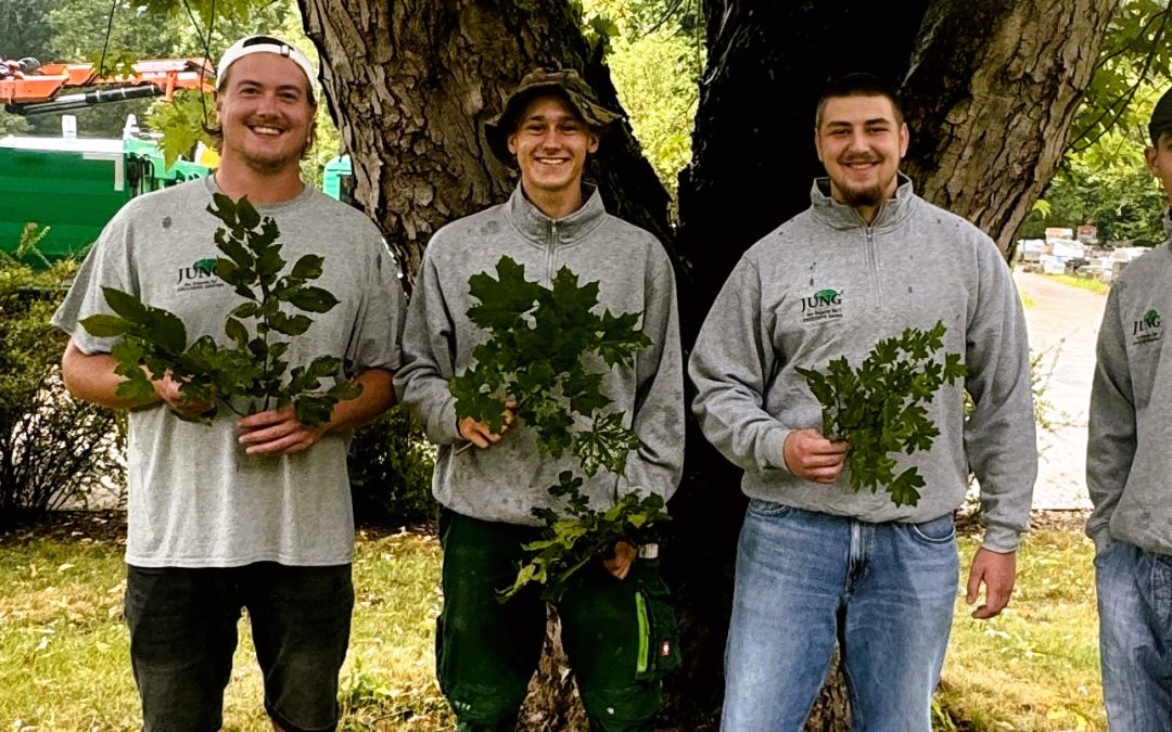 Neue Azubi-Helden 2024!